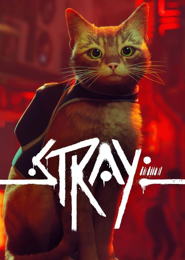 Stray Steam Key GLOBAL